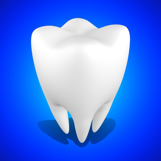 Healthy Human Tooth