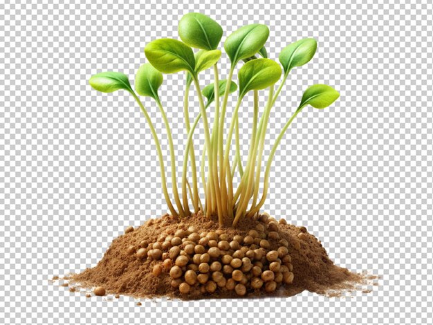 Concetto di microgreen di nutrizione sana