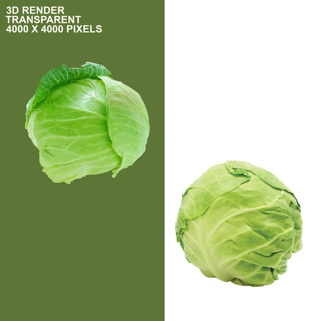 健康的な野菜の透明な背景