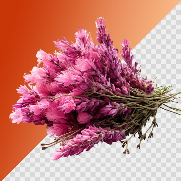 PSD heather flower isolated on transparent background