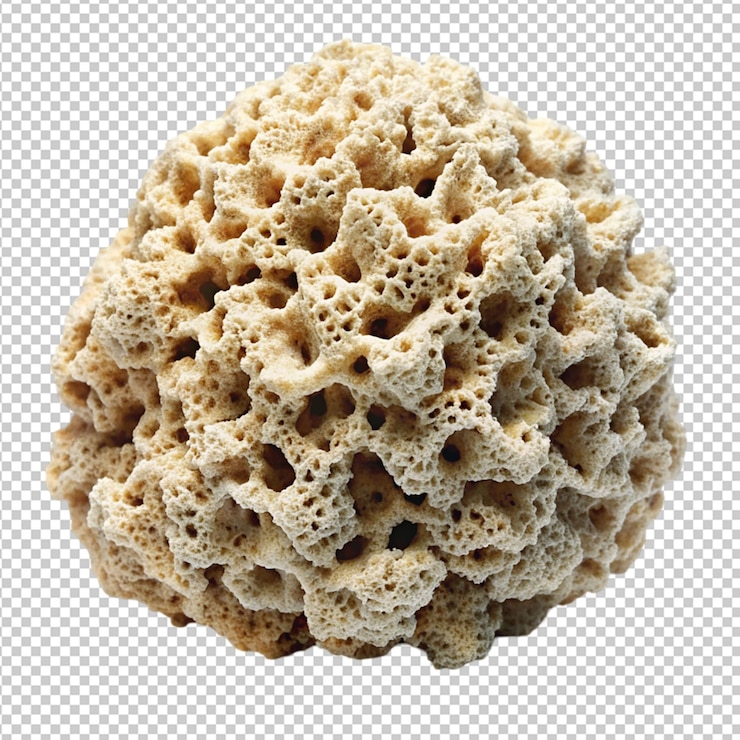 PSD 沉重的珊瑚礁岩石在透明的背景上
