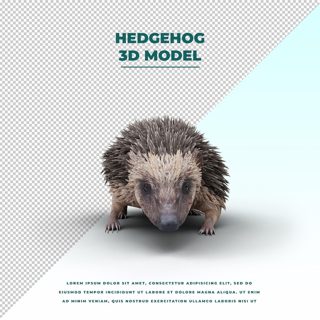 PSD hedgehog