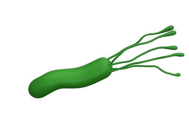 PSD helicobacter pylori batteri 3d rendono l'icona della medicina realistica per il logo isolato trasparente