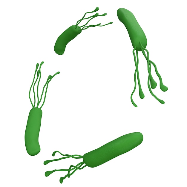 Helicobacter pylori bacteriën 3d render realistisch frame met plaats voor tekst geïsoleerde transparante png