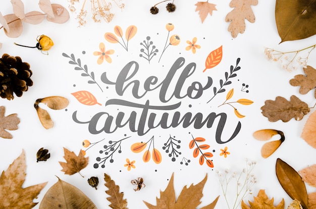 hello autumn lettering with leaves on plain background
