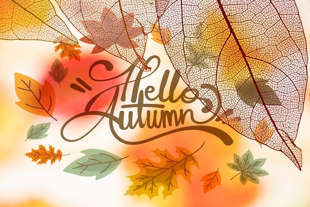 こんにちは、半透明の葉で秋のレタリング