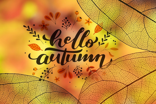 Hello autumn lettering with translucent leaves