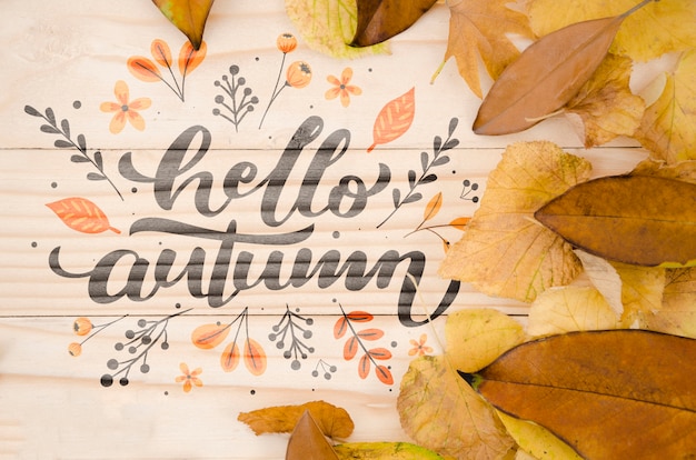 Hello autumn lettering on wooden background