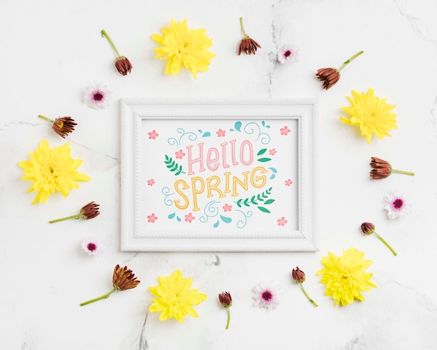 PSD hello spring frame concept