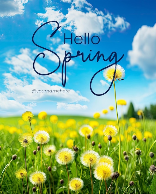 PSD hello spring poster template with beautiful meadow with fresh grass and yellow dandelion flowers