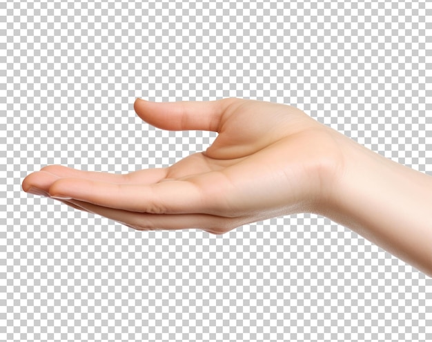 Helping giving hand isolated on transparent background