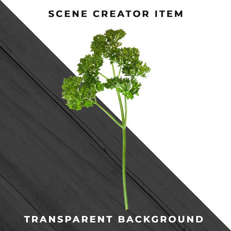 PSD herb isolated with clipping path.