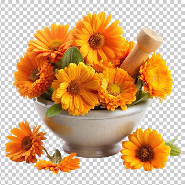 PSD herbal calendula officinalis isolated