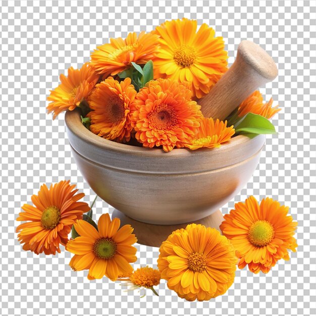 PSD herbal calendula officinalis isolated