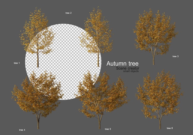 Herfstbomen verschillende soorten vele vormen