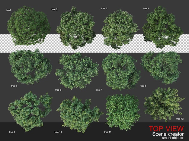 Alberi e arbusti della telecamera dall'alto