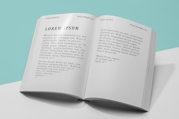 PSD libro aperto mock-up ad alto angolo