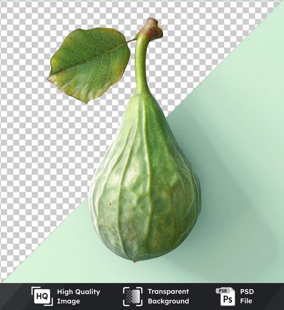 High quality transparent psd green fig fruit and leaf displayed on a green table against a green wall