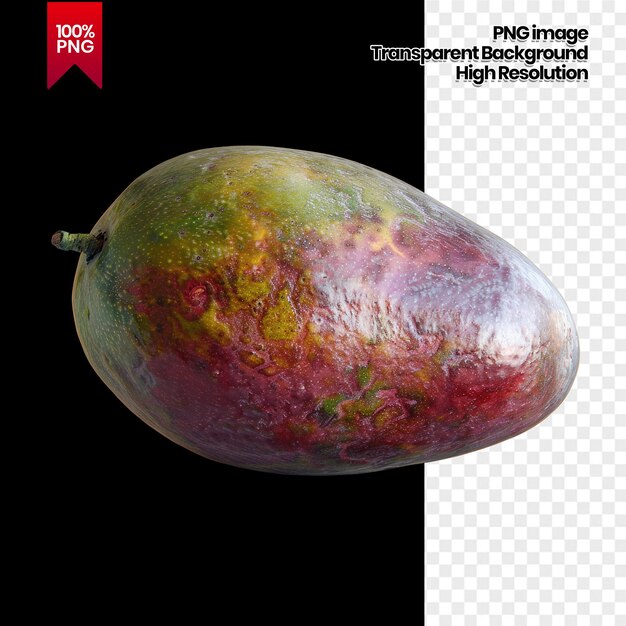 high resolution image of a single mango fruit with a transparent background background removed