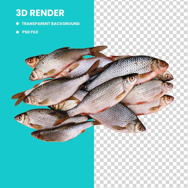 高解像度の新鮮な魚の山 3Dレンダリング PNG画像 現実的な海鮮と状の質感の