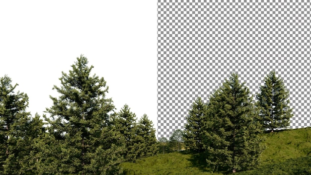 Hill gras en dennenbomen png doorzichtige achtergrond 3d rendering