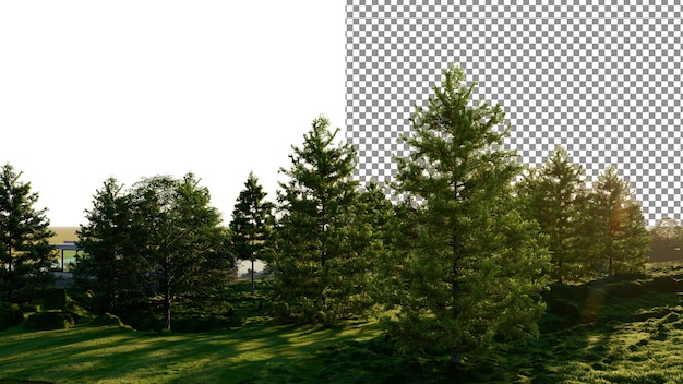 PSD hill grass and pine trees png transparent backdrop 3d rendering