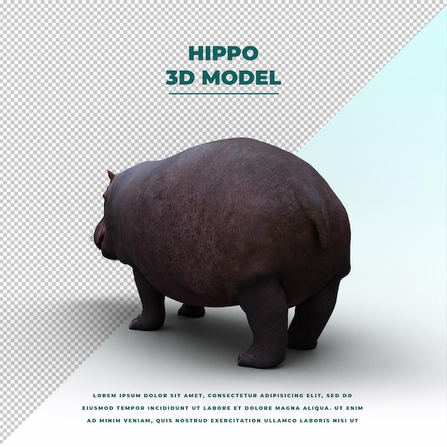 PSD hippo