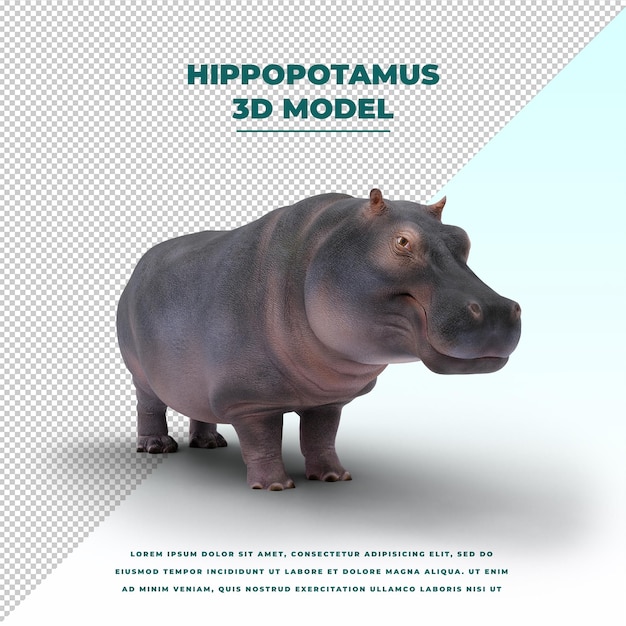 PSD hippopotamus isolated