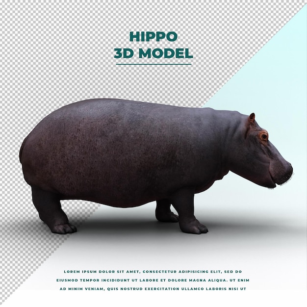 PSD hippopotamus