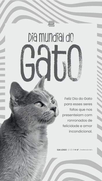 PSD historia dia mundial do gato