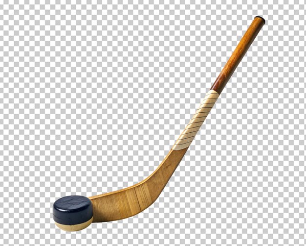 PSD hockey stick and puck