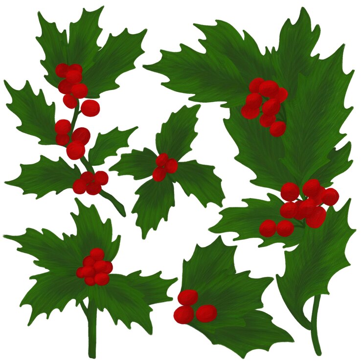 PSD holly tree painting elements