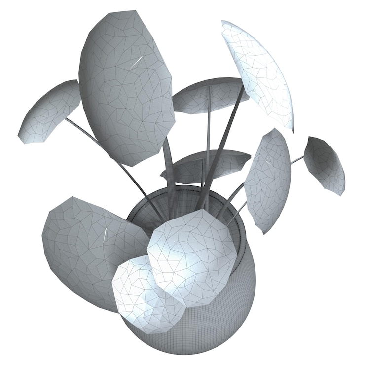 PSD home decorative indoor plants in multiple style no background beautiful assets no background flowers and plants wire no colour