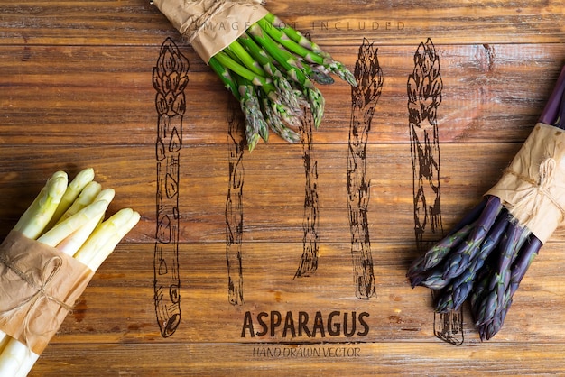 Домашние сырые органические фиолетовые зеленые и белые копья спарагуса, готовые для приготовления здоровой вегетарианской диеты, копия пространства, веганская концепция