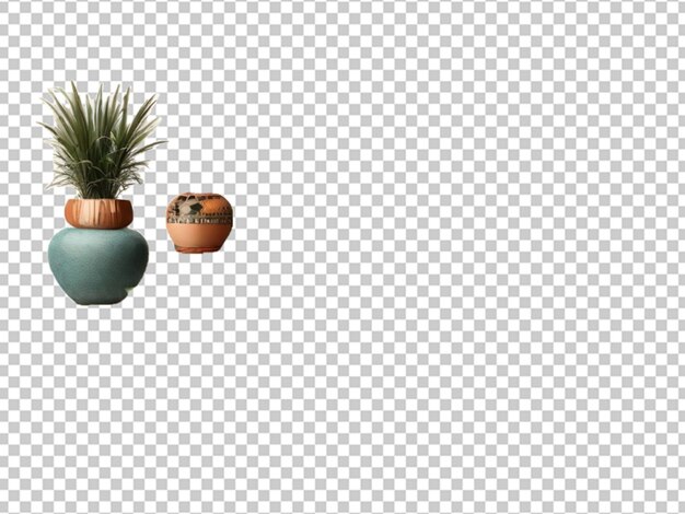 PSD home plants in flowerpots