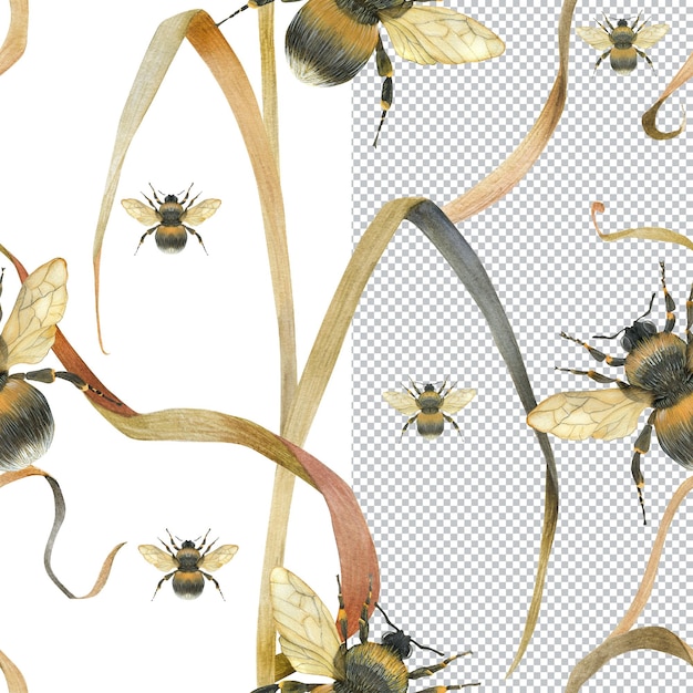 Hommel en plant naadloos patroon. Aquarel natuur illustratie voor verpakking, kaart en textiel
