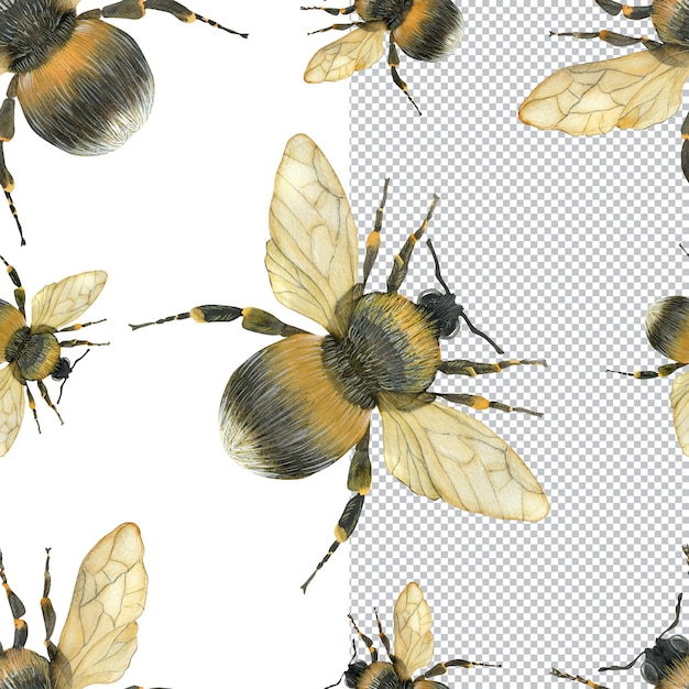 Hommels naadloze patroon. Aquarel natuur illustratie voor verpakking, kaart en textiel