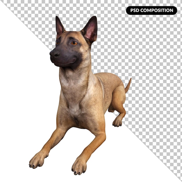 PSD hond vriend geïsoleerd 3d