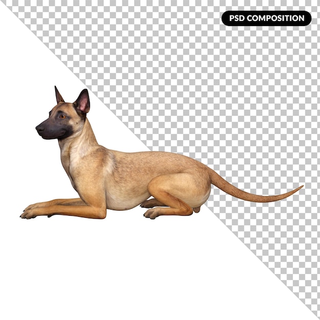 PSD hond vriend geïsoleerd 3d