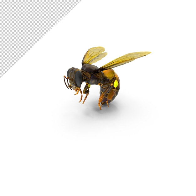 Honey bee pose png