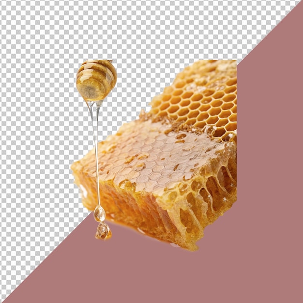 a honeycomb piece dripping with honey on a transparent background