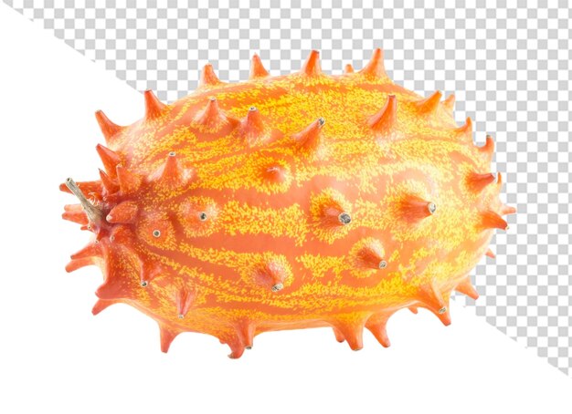 PSD horned melon