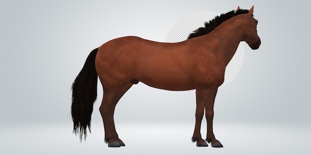 PSD horse isolated on a transparent background