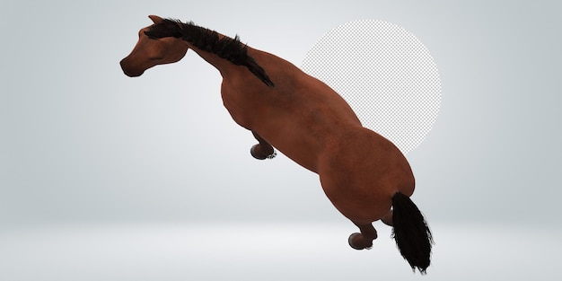 PSD horse isolated on a transparent background