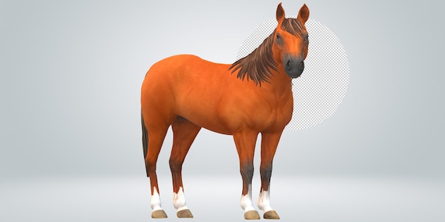 PSD horse isolated on a transparent background