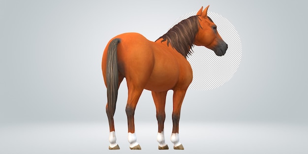 PSD horse isolated on a transparent background