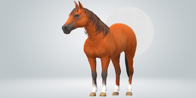 PSD horse isolated on a transparent background