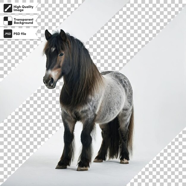 PSD a horse with a black mane stands on a white background