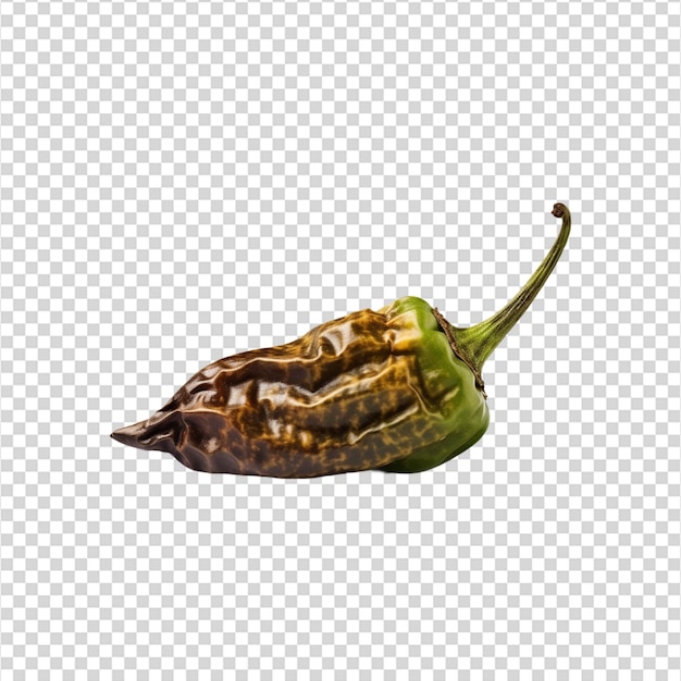 hot pepper transparent white background