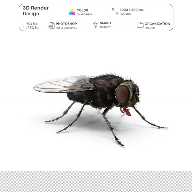ハウスフライ 3Dモデリング PSD ファイル 現実的なハウスフライ